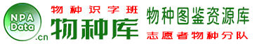 jrs低調看直播